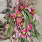 Pink Flower Oval Wreath Floral Bouquet